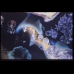 Glaze detail 8x10 in.jpg